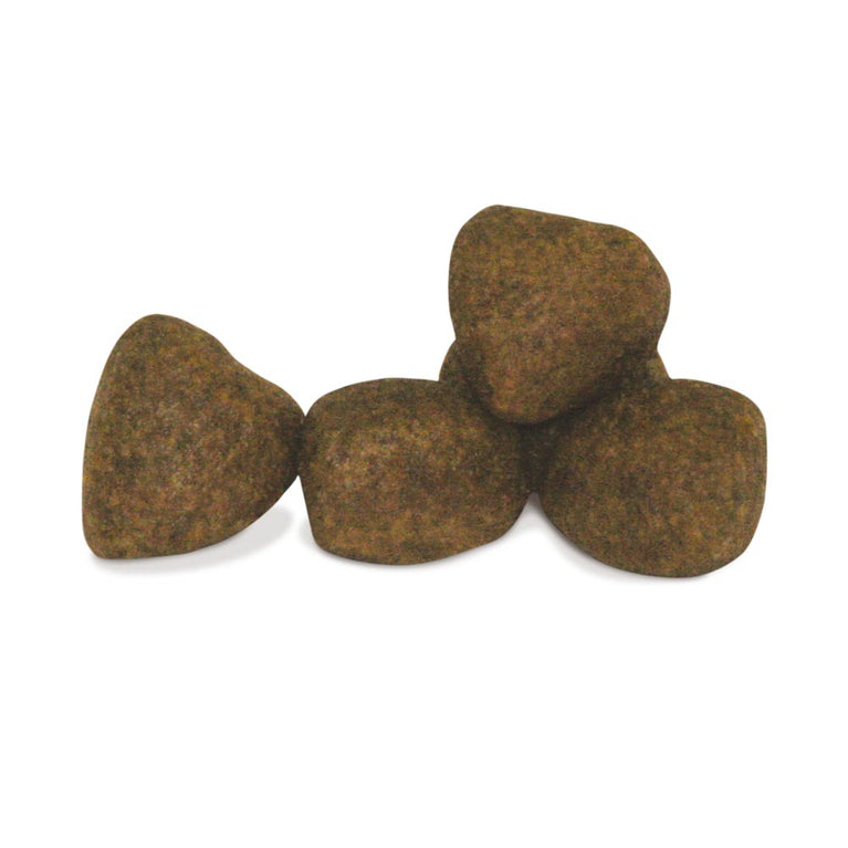 Adult Maxi Skin Unica Gemma