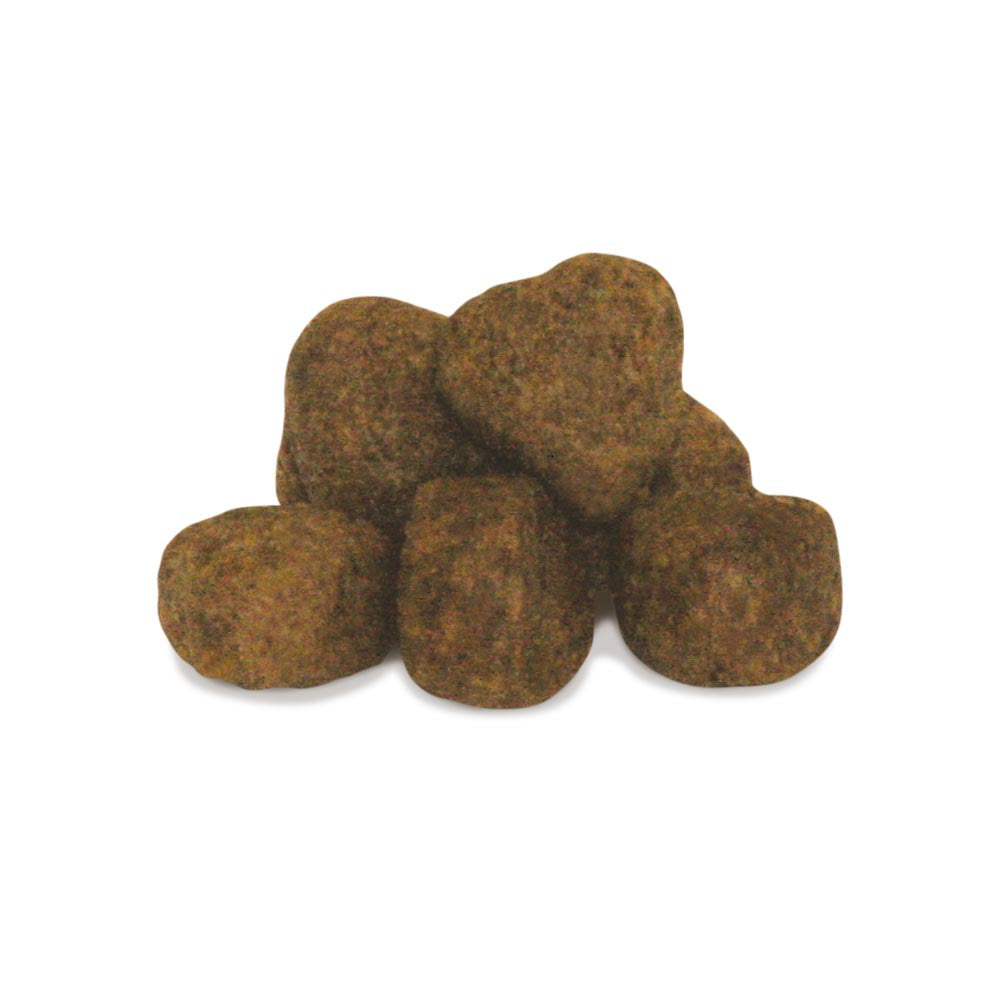 Adult Medium Skin Unica Gemma