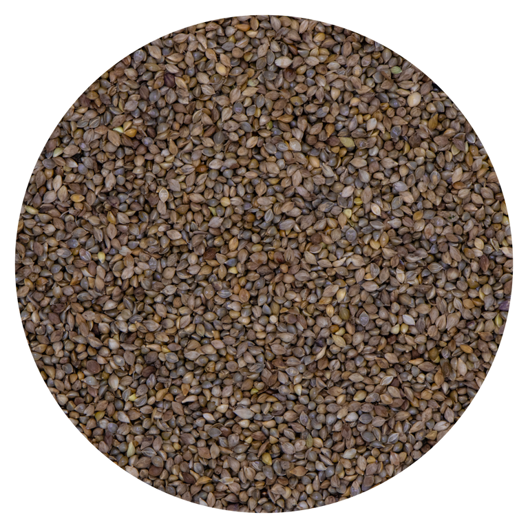 MIGLIO GIAPPONESE VAESEN