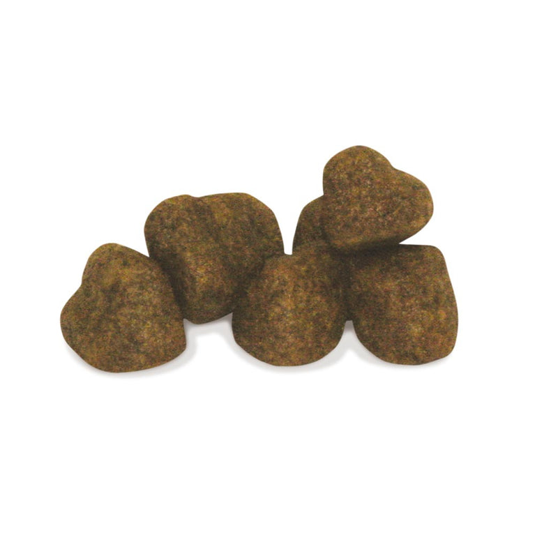 Adult Mini Skin Unica Gemma 800gr