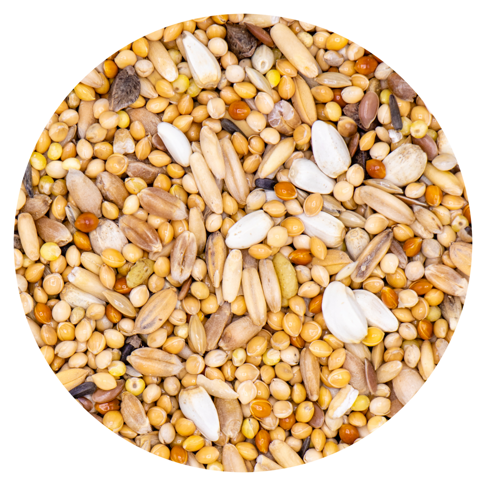 Miscela composta da: Miglio giallo, grano, avena decorticata, miglio rosso, kardi bianco, semi di scagliola, semi di lino rosso, risone, grano saraceno, semi di cappuccia