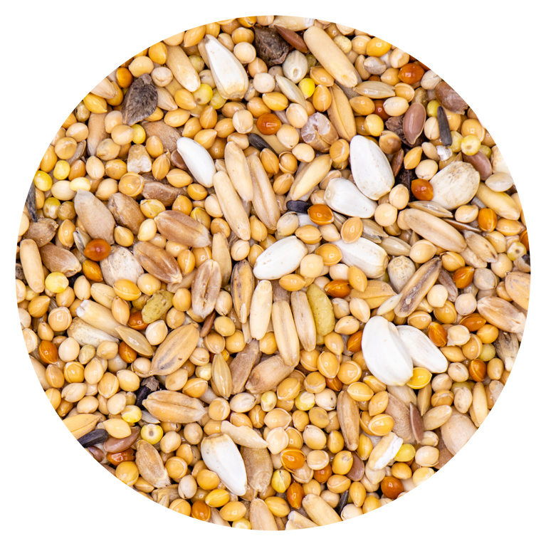 Miscela composta da: Miglio giallo, grano, avena decorticata, miglio rosso, kardi bianco, semi di scagliola, semi di lino rosso, risone, grano saraceno, semi di cappuccia