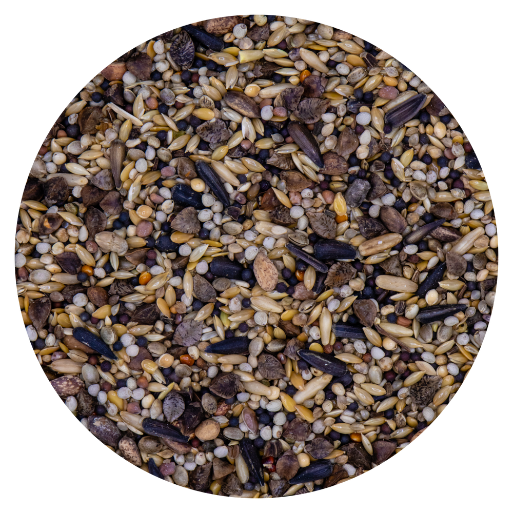 MISCELA CARDINALI Red & green VAESEN 230