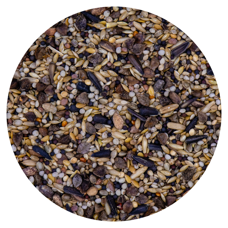 MISCELA CARDINALI Red & green VAESEN 230