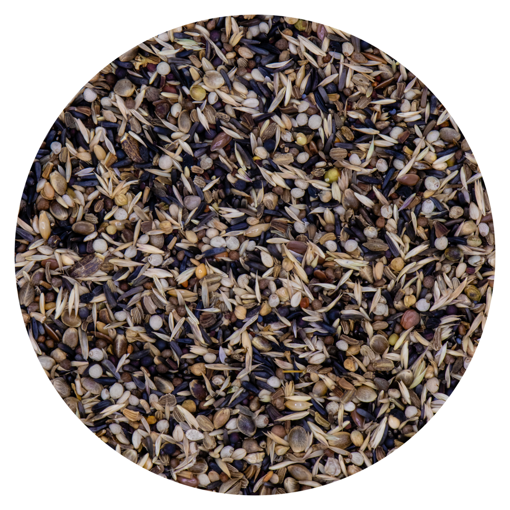 Miscela Lucherini Vaesen Belgio 210