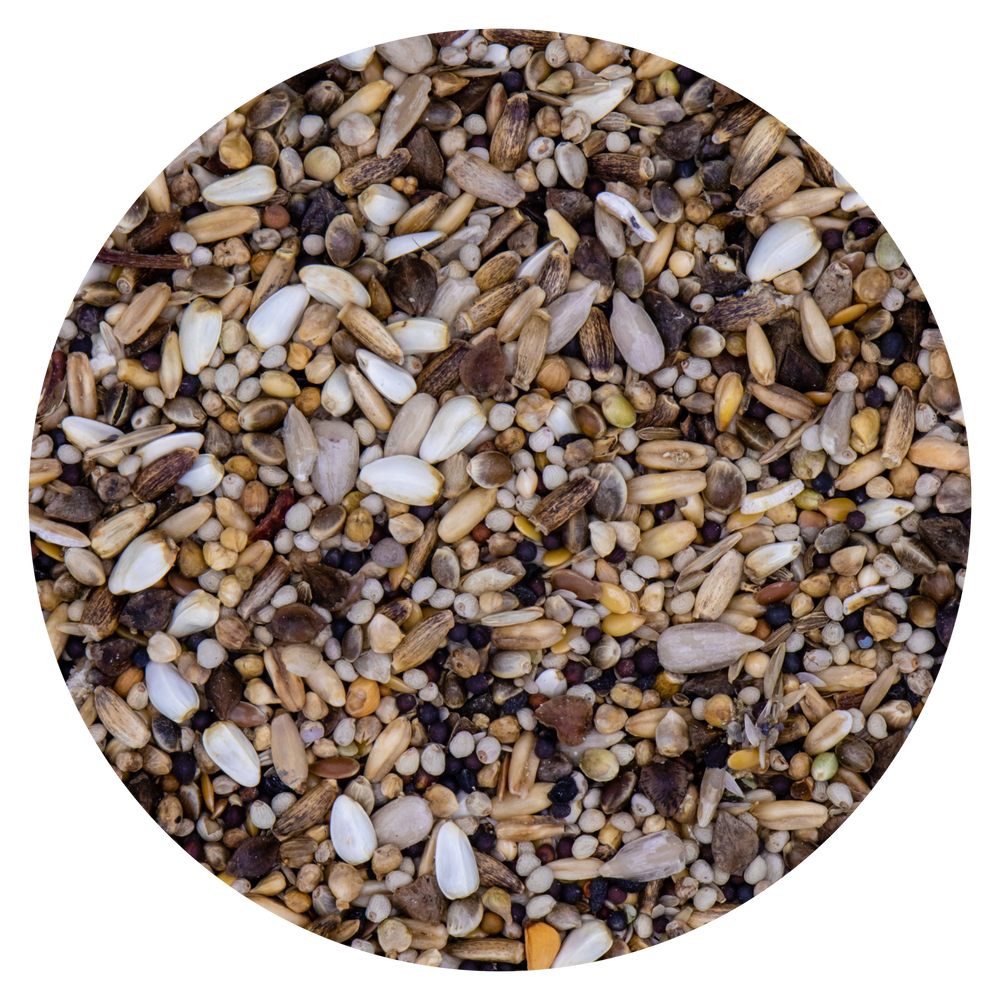 Miscela Verdoni Vaesen Belgio 244