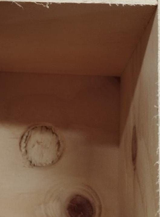 NIDO IN LEGNO PER COCORITE