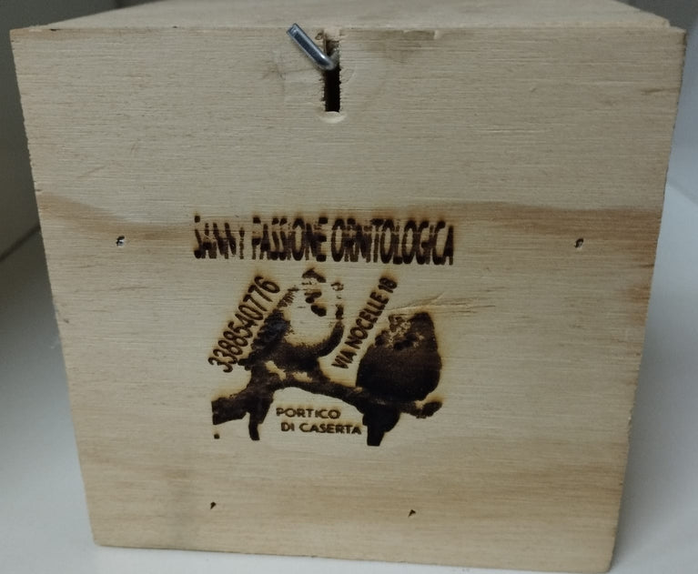 NIDO ESOTICI IN LEGNO CASSETTO ESTRAIBILE