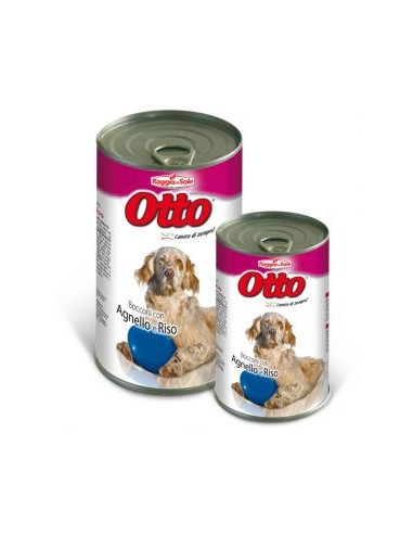 OTTO RAGGIO DI SOLE BOCCONI CON AGNELLO E RISO