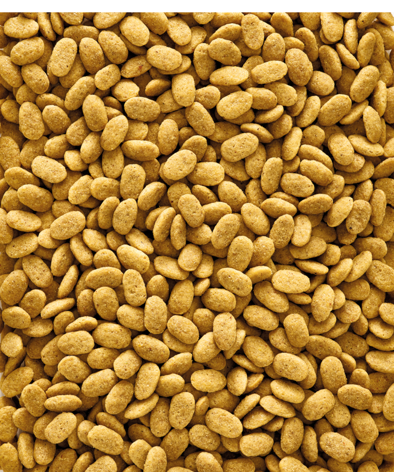 NUTRIBIRD P15 ORIGINAL