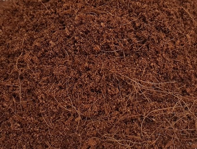 Nobby lettiera di cocco fine, blocco pressato