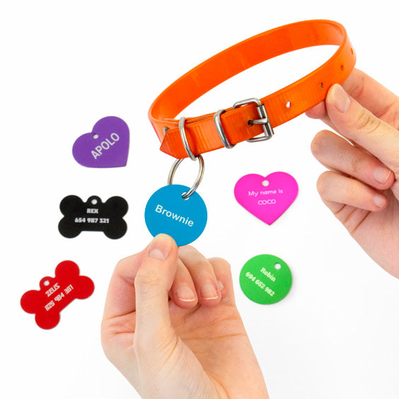 MEDAGLIETTA PERSONALIZZATA PER CANI E GATTI