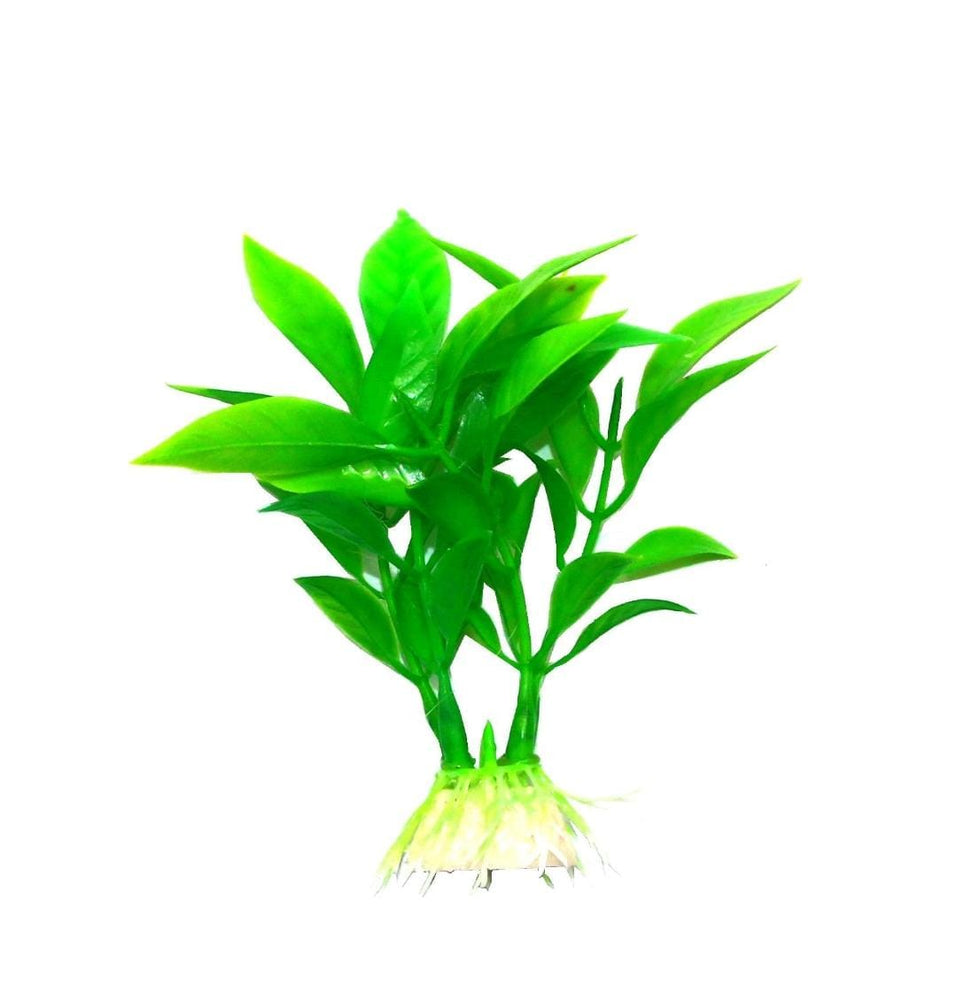 LUCKY PET-PIANTE PER ACQUARIO