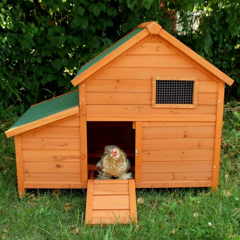Tino – Pollaio in Legno per 2 Galline con Nido e Recinto - Sanny Passione Ornitologica