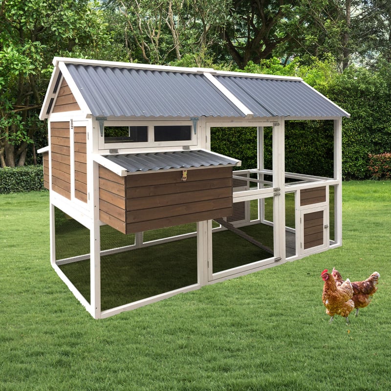 Pollaio in legno con recinto - 6 a 8 galline - Mimosa