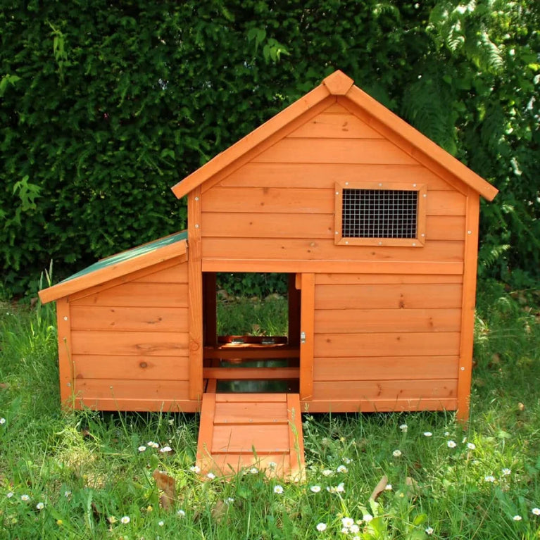 Tino – Pollaio in Legno per 2 Galline con Nido e Recinto - Sanny Passione Ornitologica
