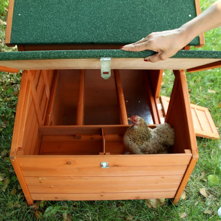 Tino – Pollaio in Legno per 2 Galline con Nido e Recinto - Sanny Passione Ornitologica