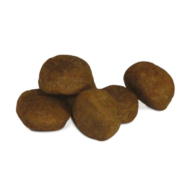 Pollo, Riso e Pomodori - UNICO MONO ALL BREED Unica Natura