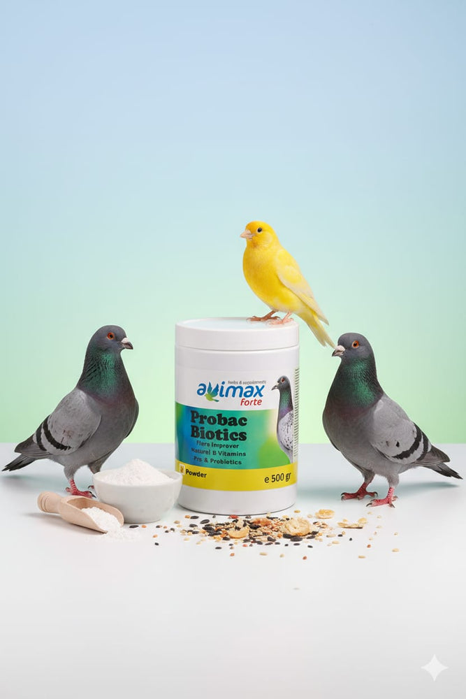 Probac Biotics Flora Improver Natural B-Vitamins Pre & Probiotics 500gr