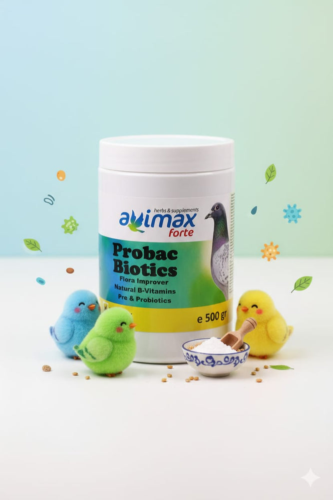 Probac Biotics Flora Improver Natural B-Vitamins Pre & Probiotics 500gr