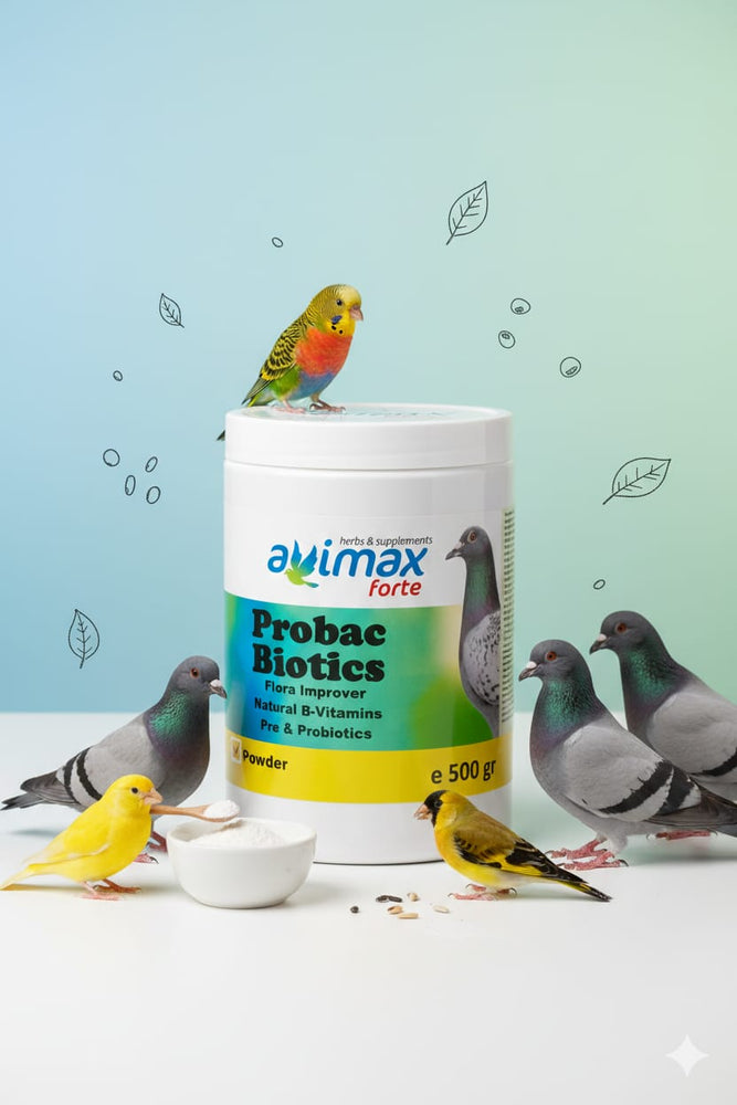 Probac Biotics Flora Improver Natural B-Vitamins Pre & Probiotics 500gr