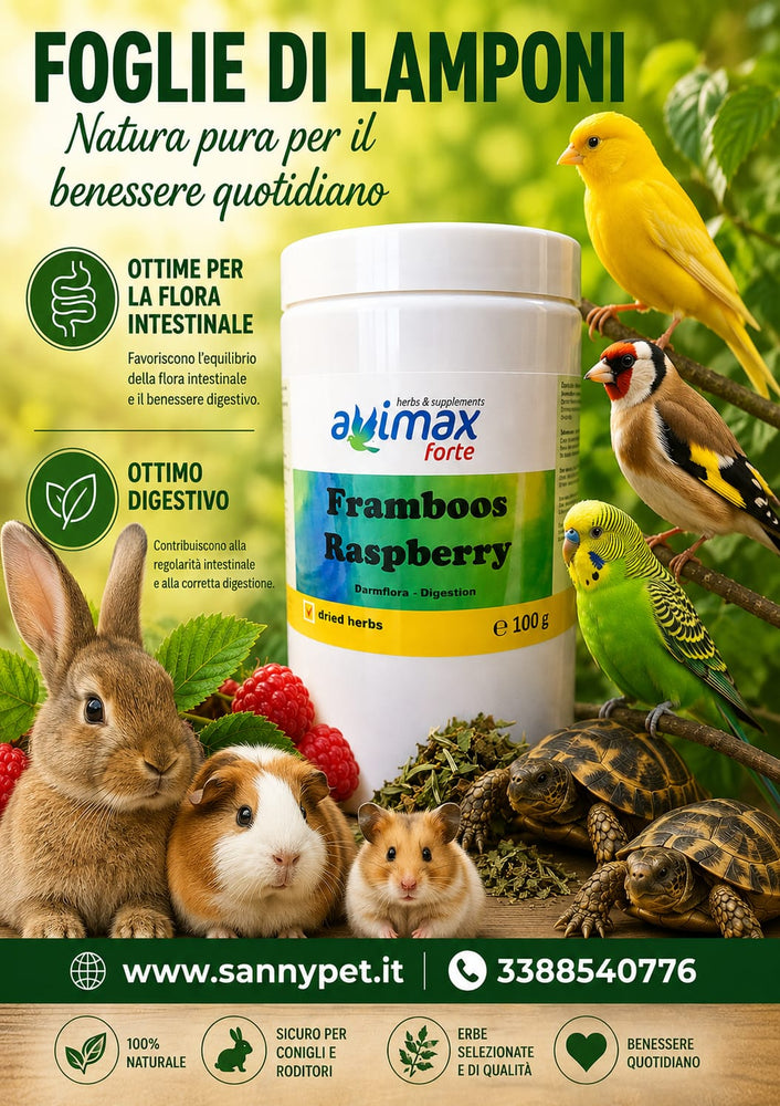 Avimax Forte Raspberry Darmflora-Digestion – Foglie di Lampone 100g | VAESEN