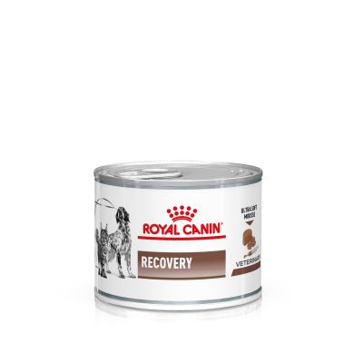 ROYAL CANIN RECOVERY