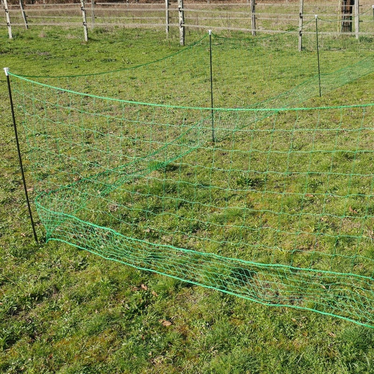 Rete per polli non elettrificabile Zolia, 12, 25 o 50 metri, H115cm