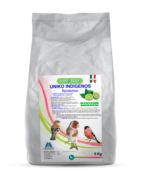 UNIKO INDIGENOS RIPRODUZIONE