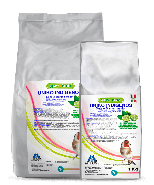 UNIKO INDIGENOS MUTA e MANTENIMENTO