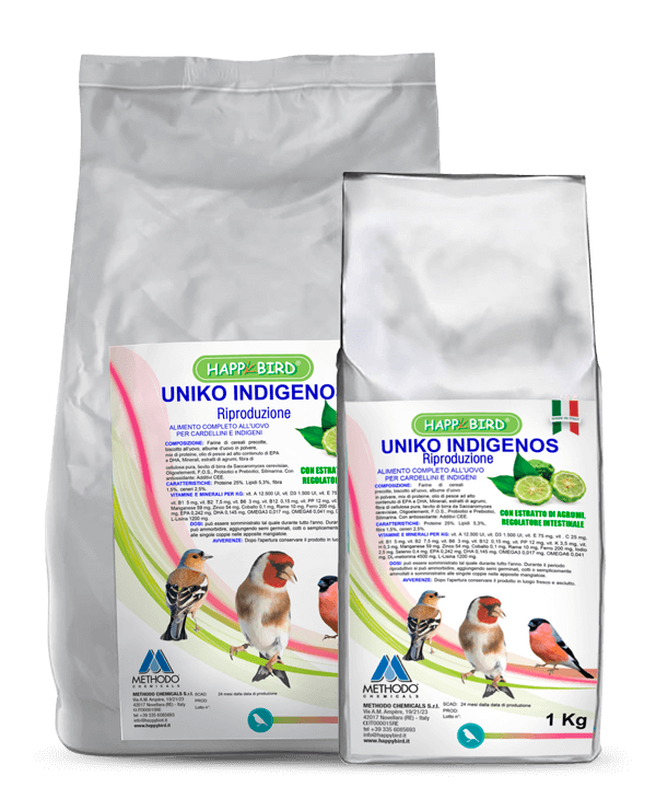 UNIKO INDIGENOS RIPRODUZIONE