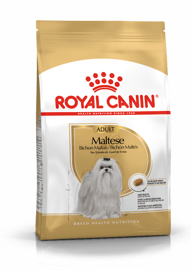 ROYAL CANIN MALTESE ADULT