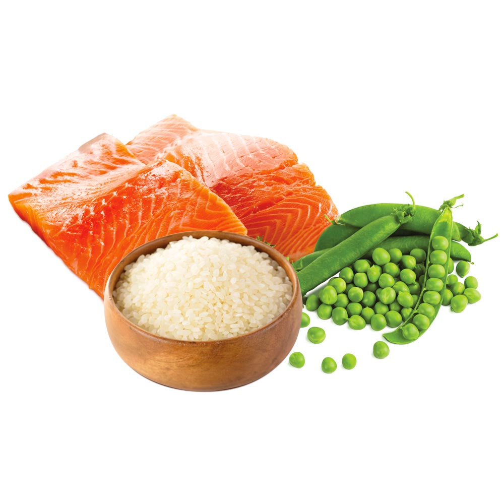 Salmone, Riso e Piselli - UNICO MINI-Unica Natura