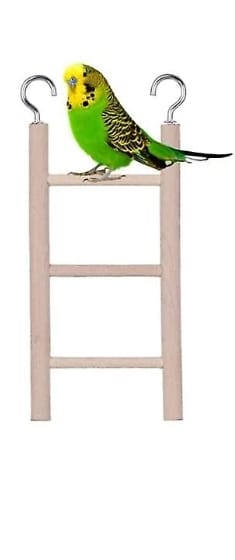 SCALA IN LEGNO PER GABBIA