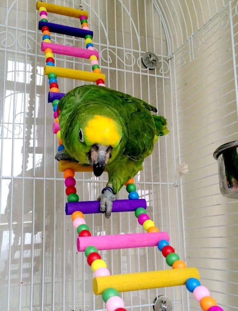 GIOCATTOLO SCALA PER PAPPAGALLO IN LEGNO - Sanny Passione Ornitologica