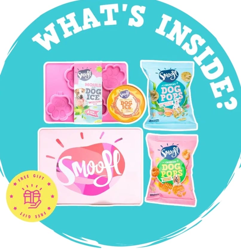 Smoofl Gift Box DOG