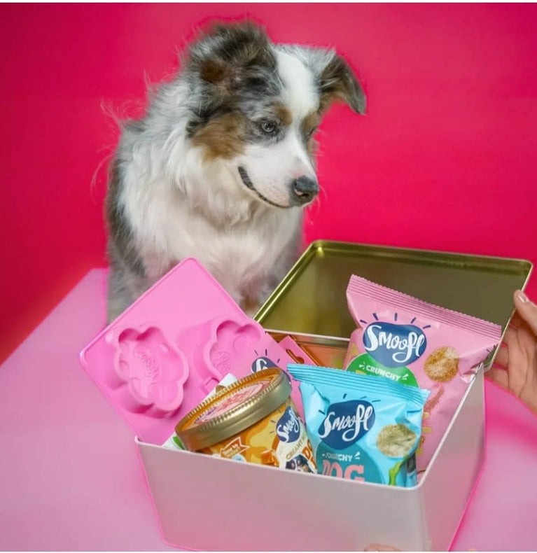 Smoofl Gift Box DOG