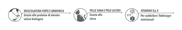 Morando Professional ADULT PATÈ GATTO CON MAIALE 400gr