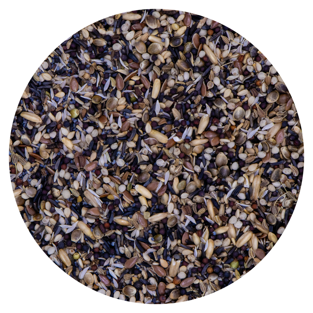 Semi della Salute CONDIZIONATI Canarini Esotici & Indigeni VAESEN 211