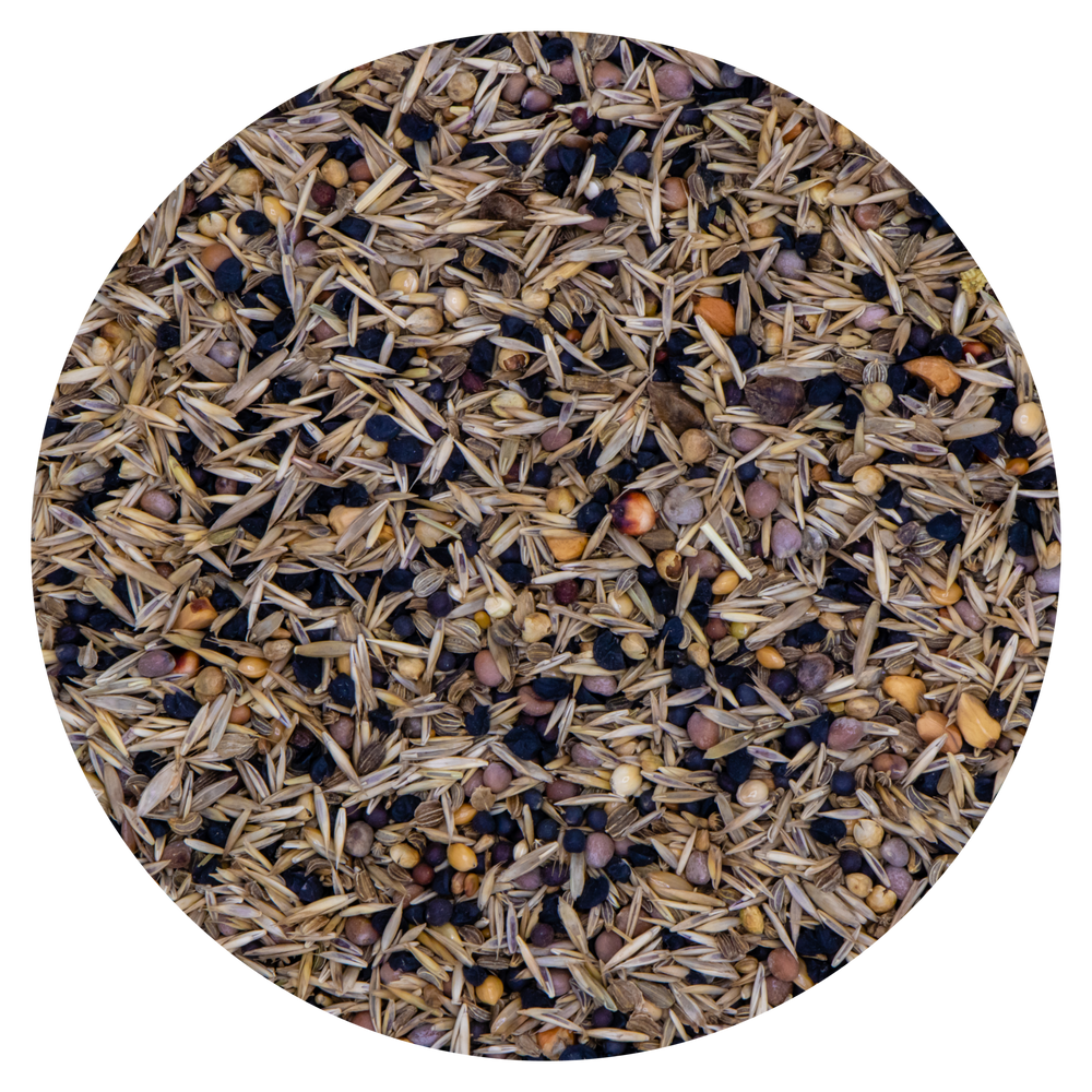 SEMI SELVATICI VAESEN 228