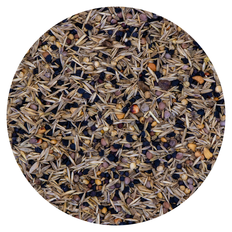 SEMI SELVATICI VAESEN 228