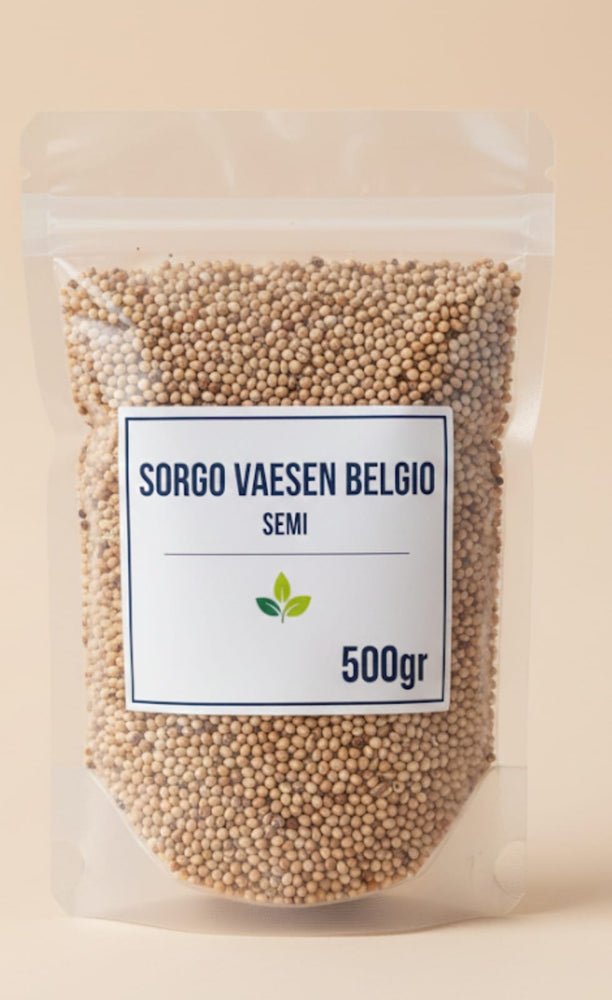 Semi di Sorgo Vaesen Belgio