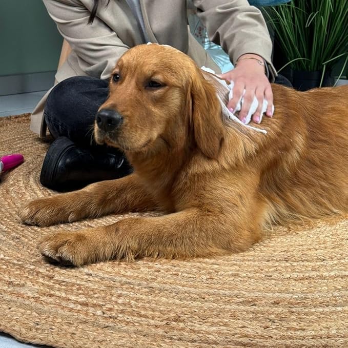 Inodorina Shampoo per cani a secco delicato 300 ml. Shampoo a secco per gatti e cuccioli frizzante senza solfati, siliconi, parabeni per pelle e pelliccia.