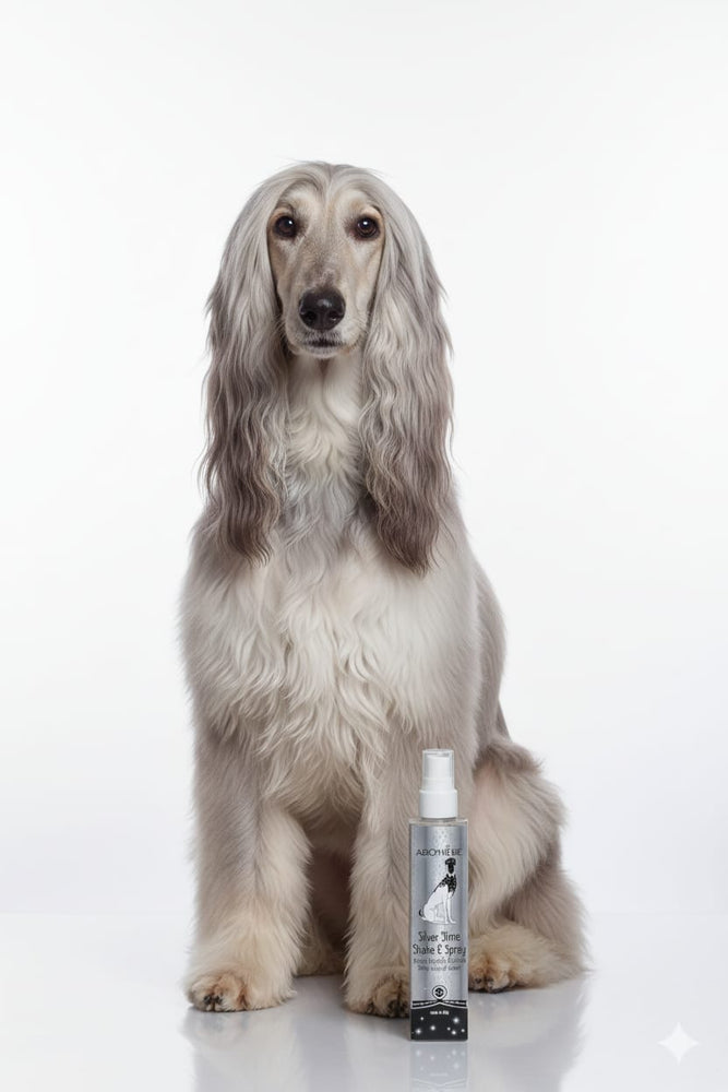 AROMIERE Silver Shine Shake & Spray acqua vegetale brillante Cat & Dog - 100ml