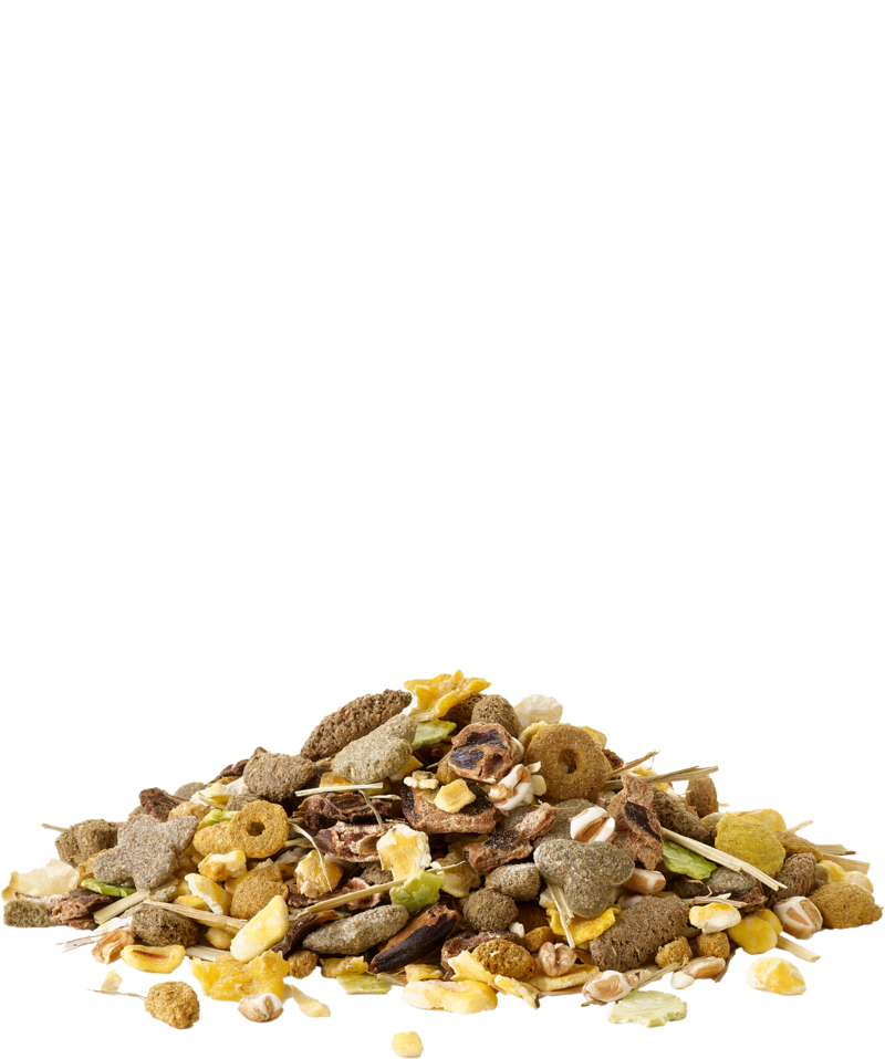 Snack with Popcorn - Sanny Passione Ornitologica