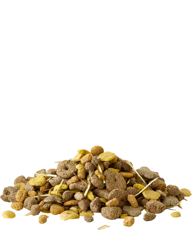 Snack with Fibres - Sanny Passione Ornitologica