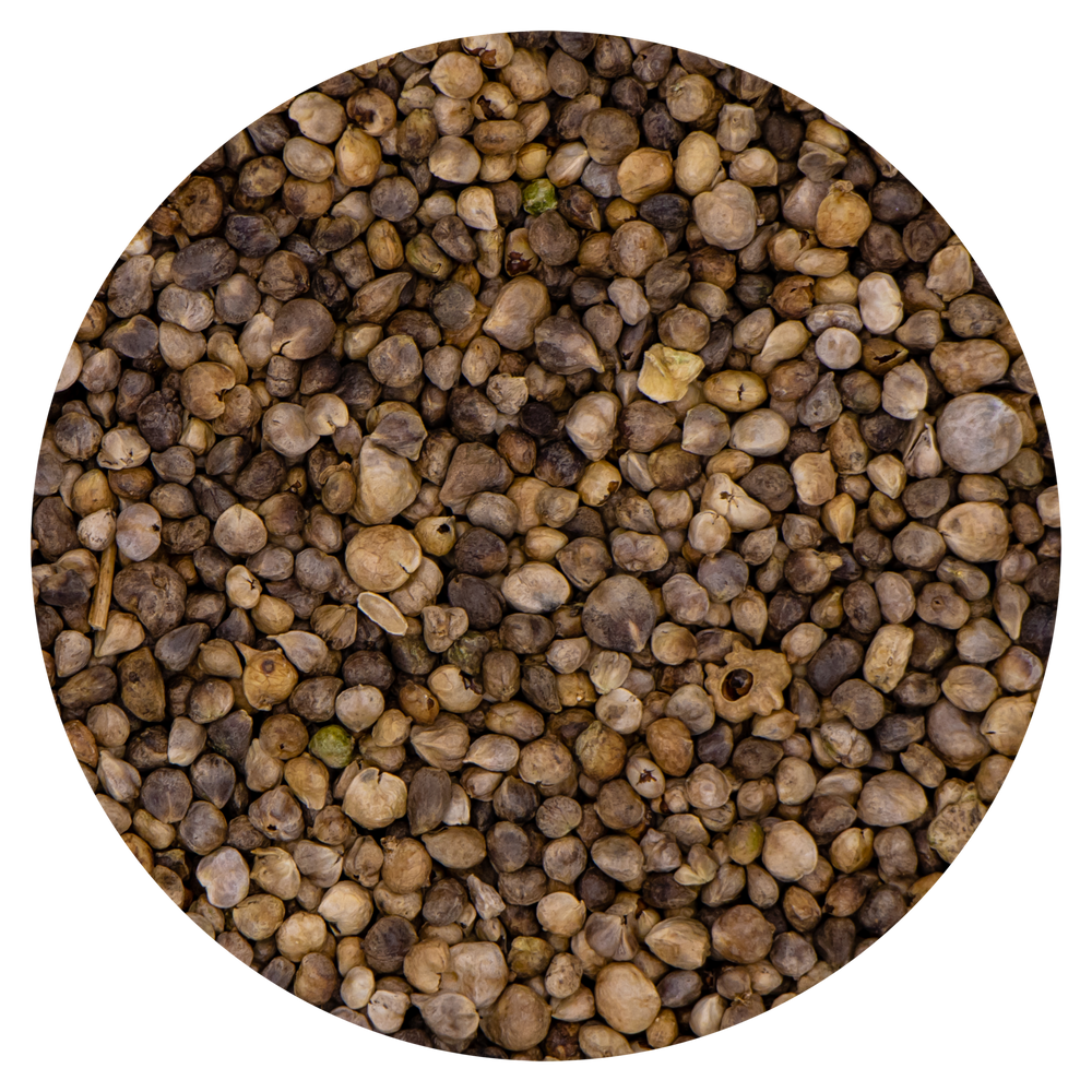 SEMI DI SPINACI VAESEN