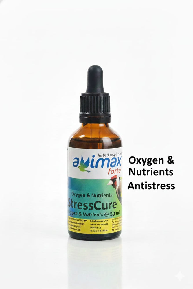 STRESS CURE AVIMAX forte CURE & TERAPHY Oxygen & Nutrients