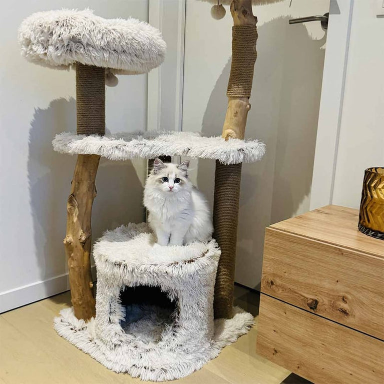 EBI Marsiglia – Tiragraffi Gatto 122 cm in Legno Naturale con Cuccia e Juta - Sanny Passione Ornitologica