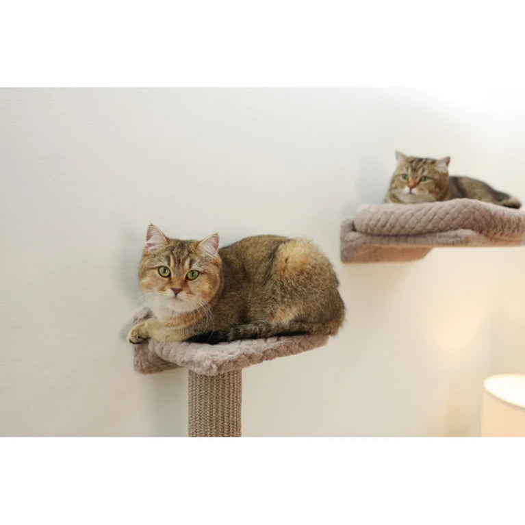 Tiragraffi a Muro arrampicata KERBL Monte Alpi 8 pezzi